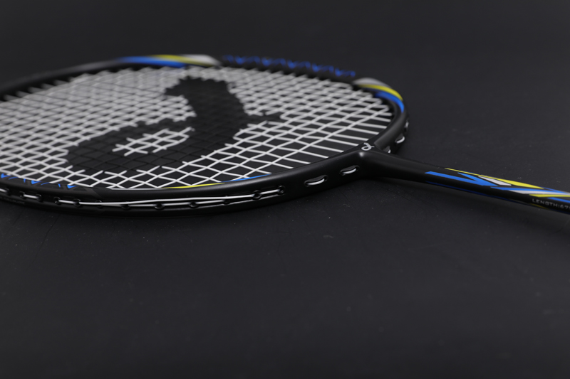 Premium Carbon Badmintonracket Cx-b668 Mix en match kleuren