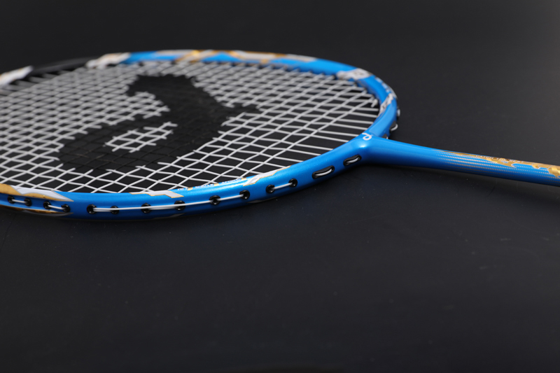 Premium Carbon Badmintonracket Cx-b668 Blauw